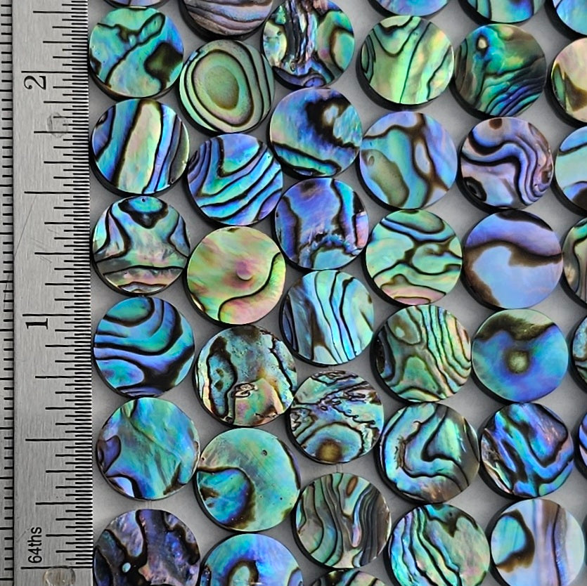 LIMITED EDITION 10MM Abalone Coin - Paua
