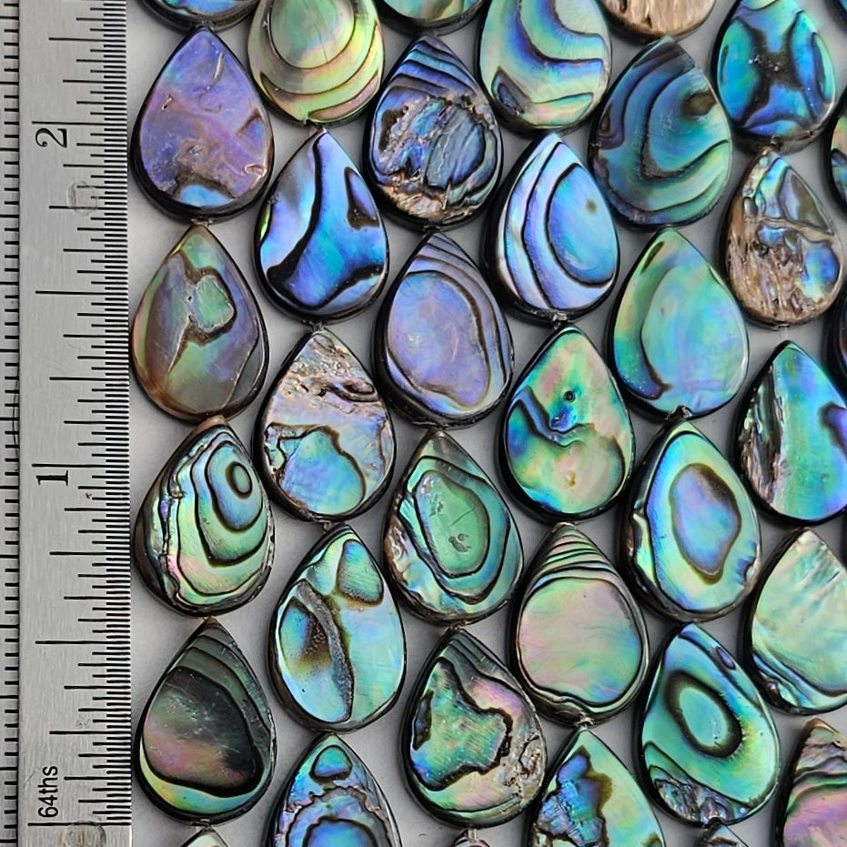 LIMITED EDITION 14x10mm Abalone Drop - Paua