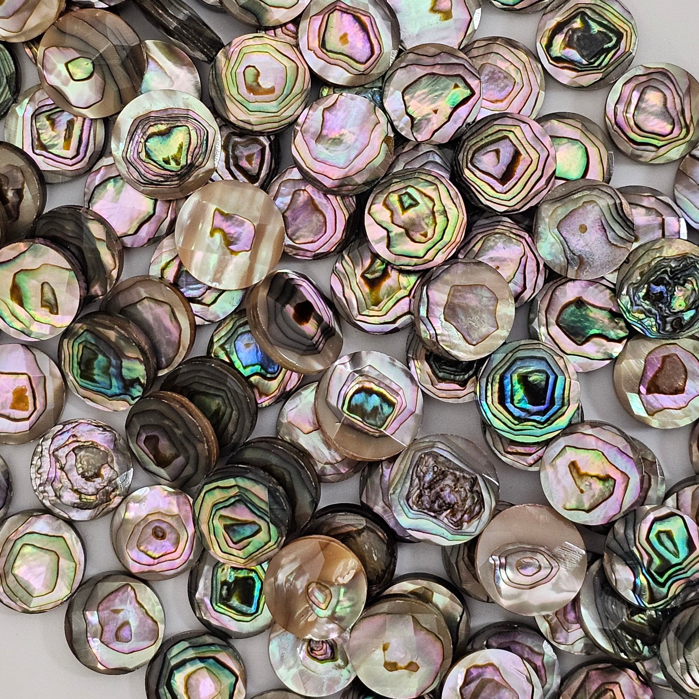 14mm Faceted Abalone Coin - North American