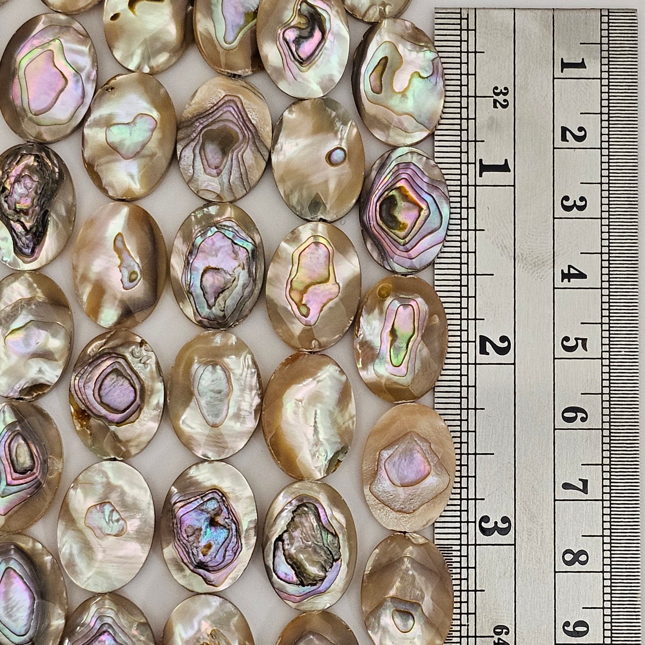 18x13mm Faceted Abalone Oval - North American