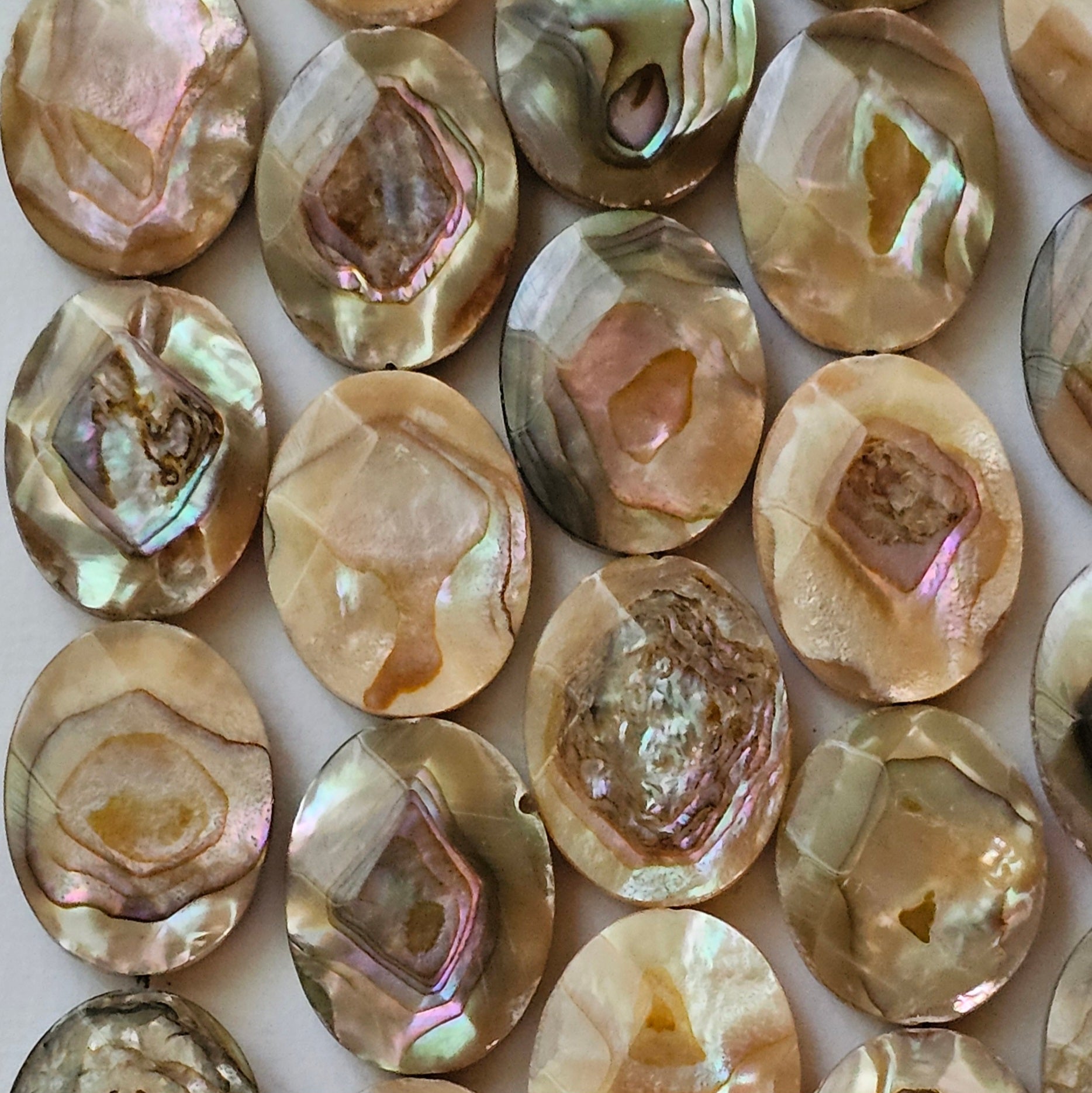 20x15mm Faceted Abalone Oval - North American