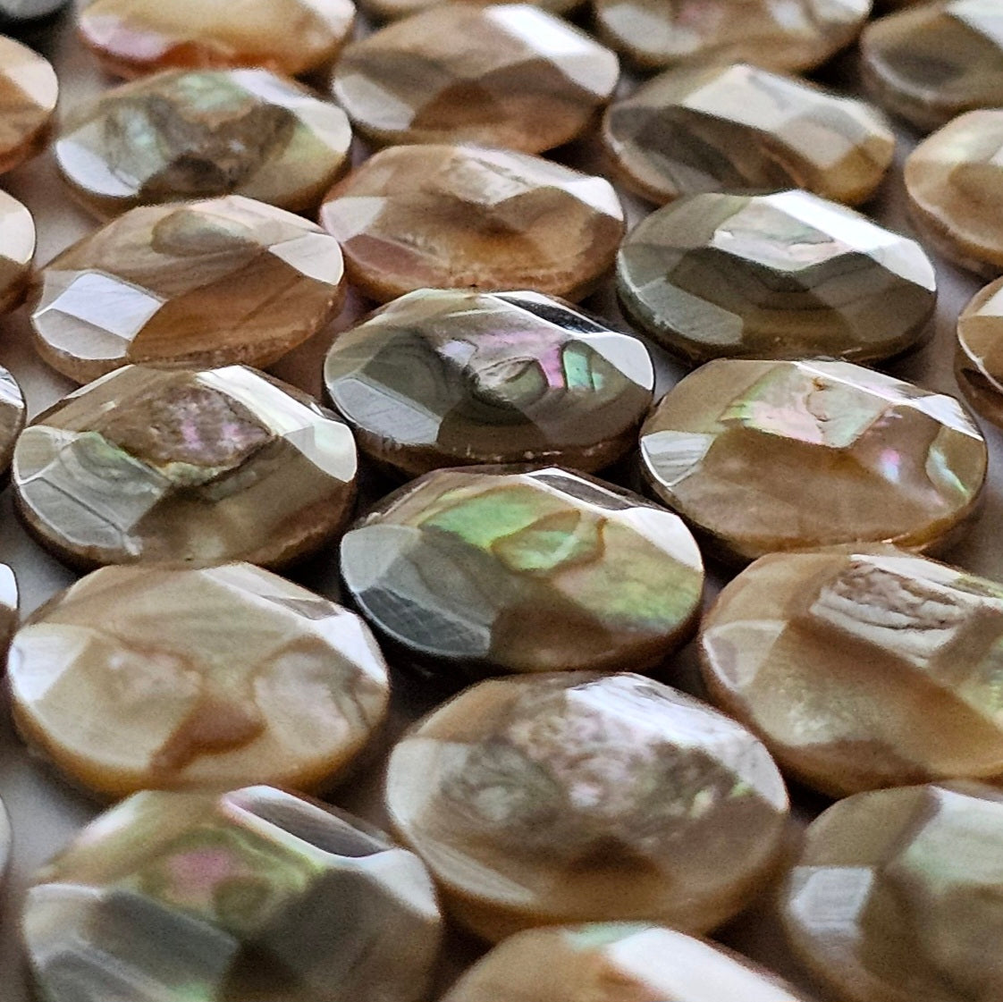 20x15mm Faceted Abalone Oval - North American