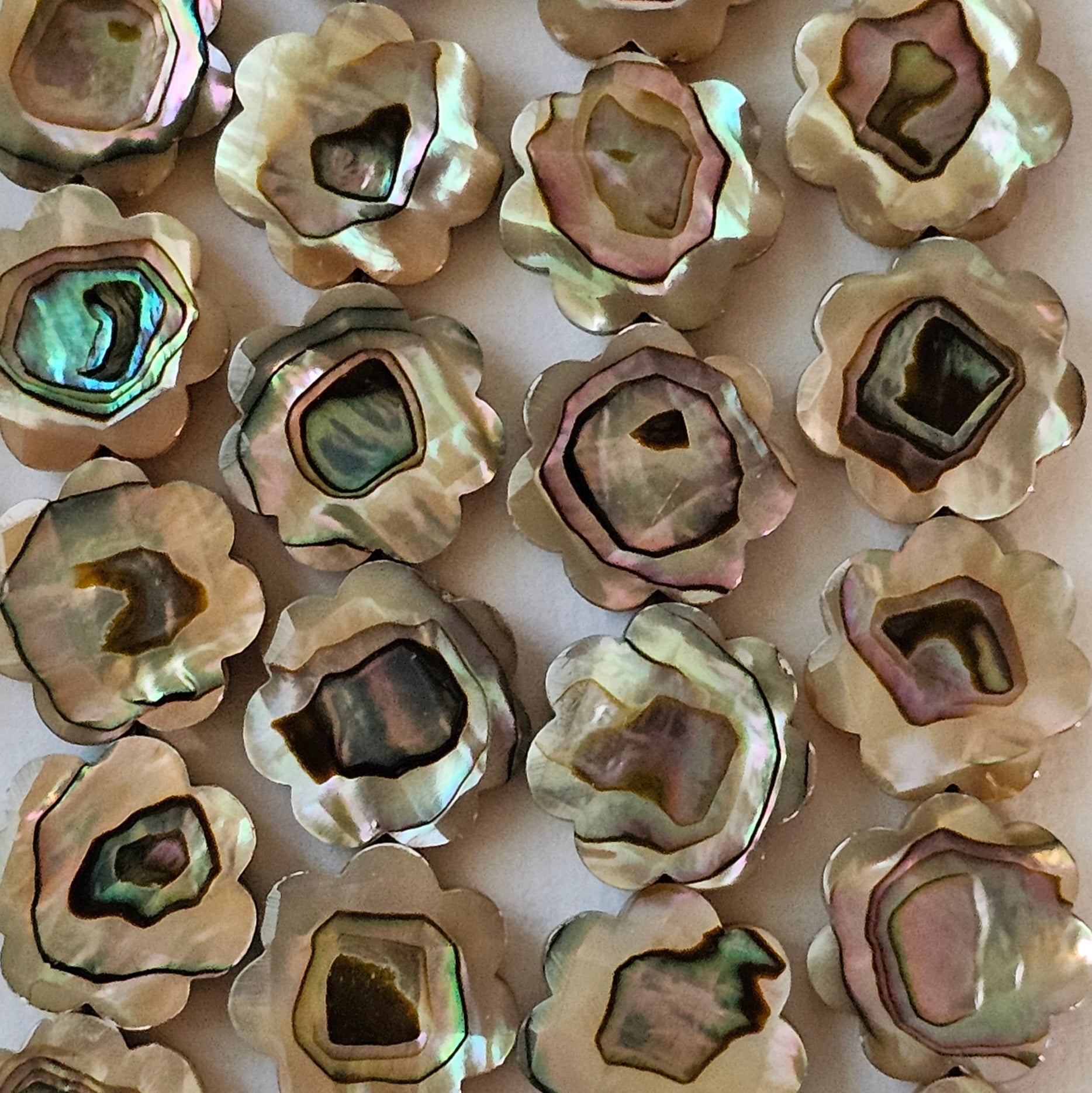 15mm Faceted Abalone Flower - North American