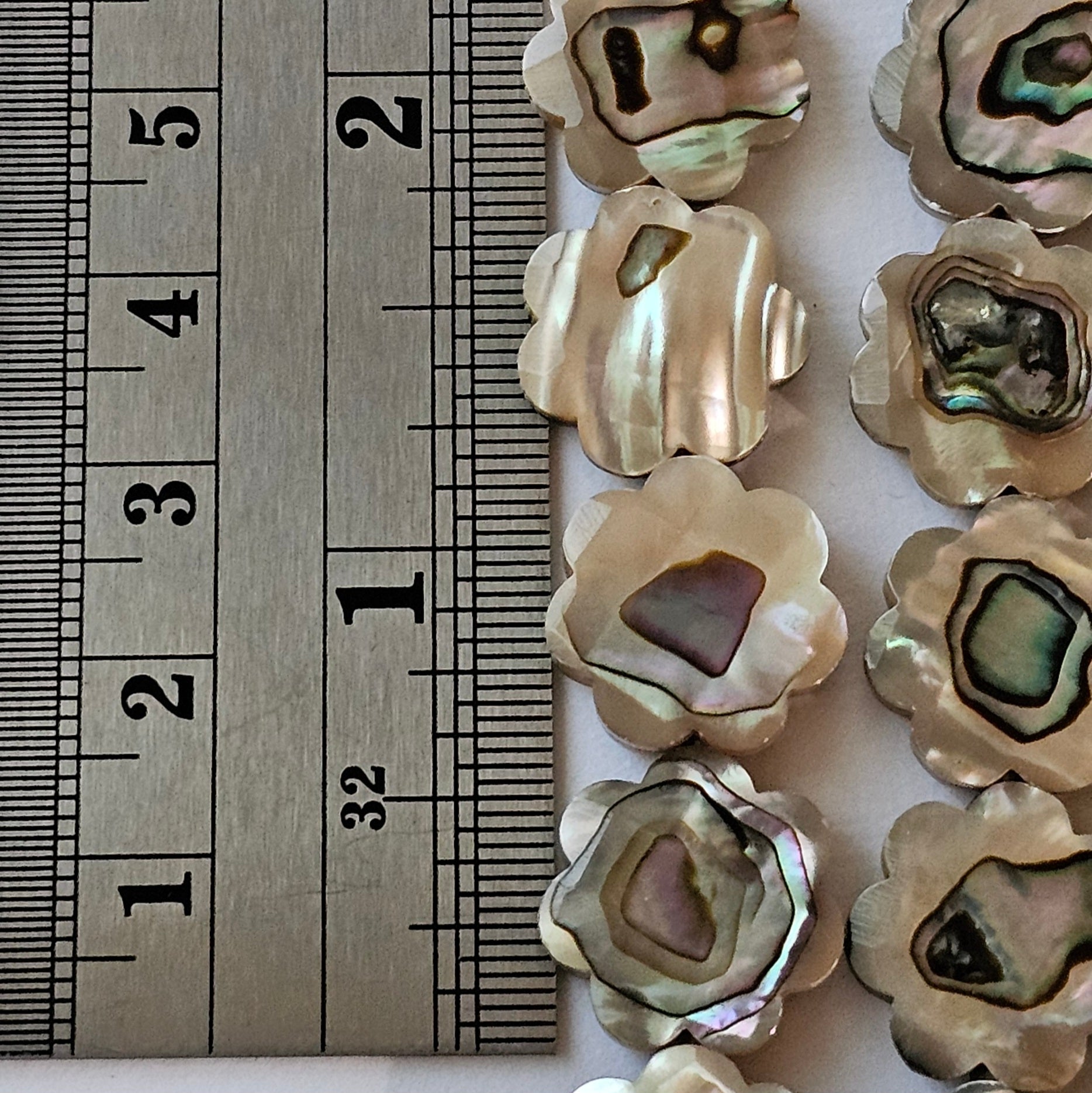 15mm Faceted Abalone Flower - North American