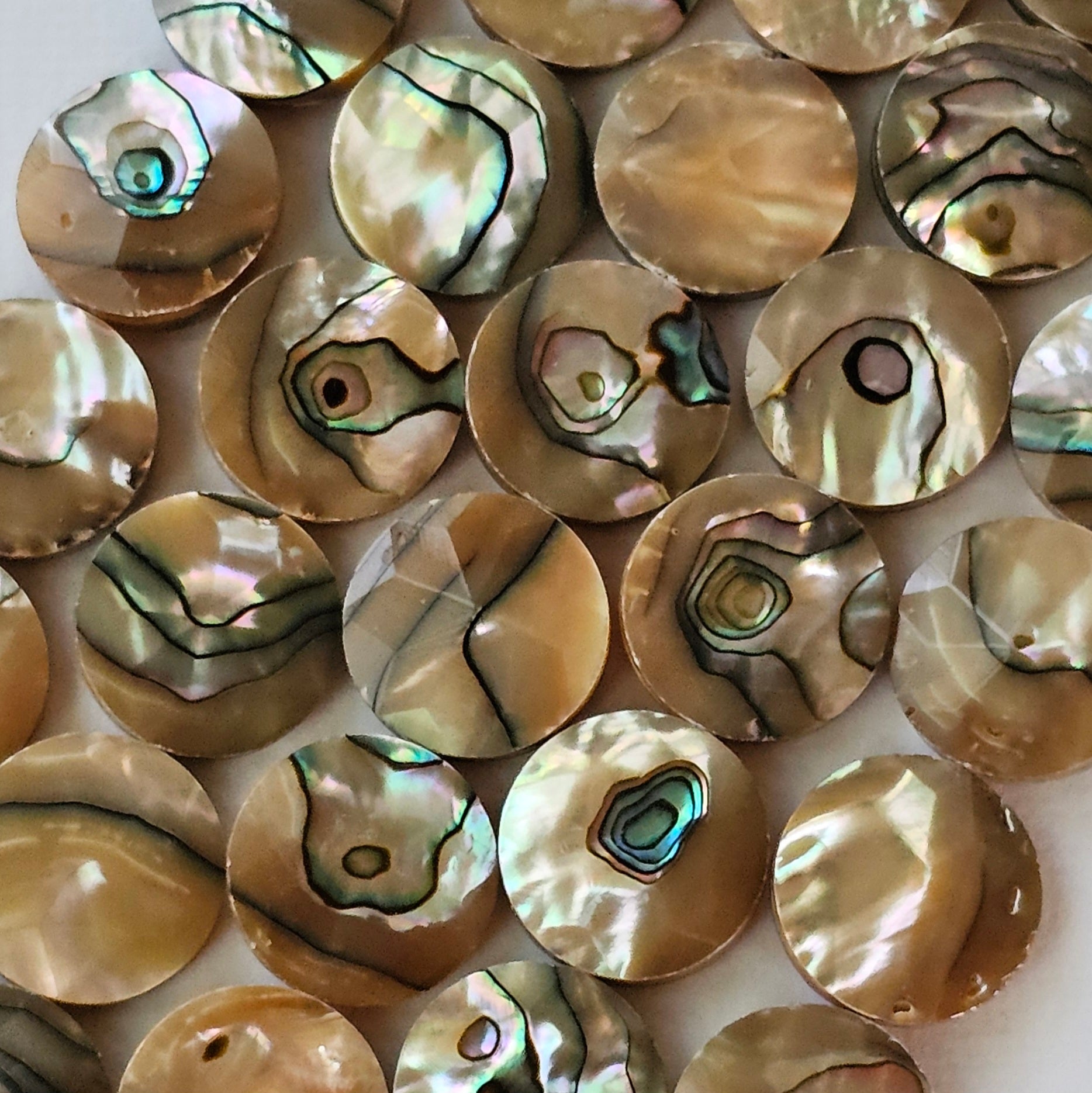 15mm Faceted Abalone Coin - North American