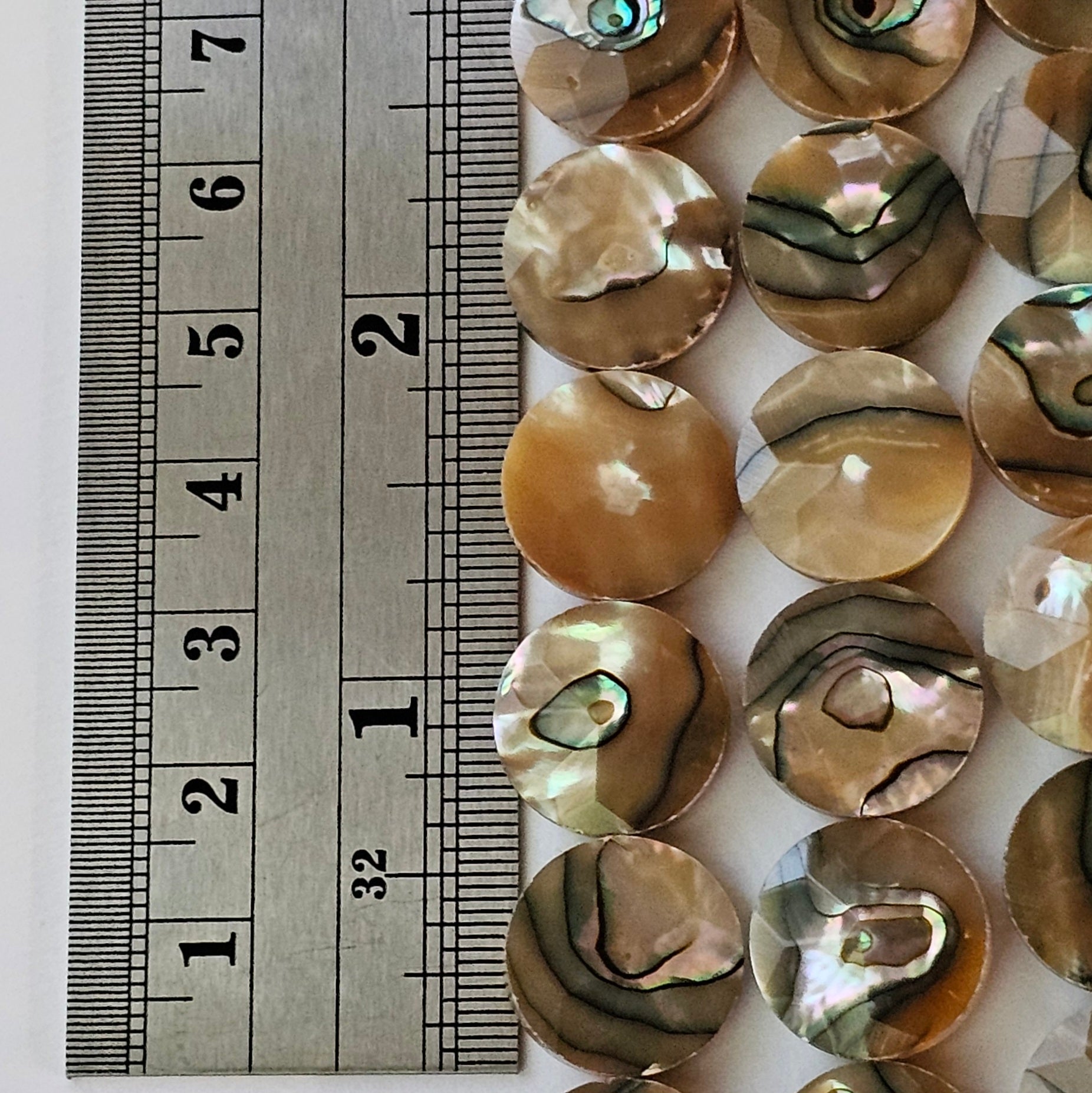 15mm Faceted Abalone Coin - North American