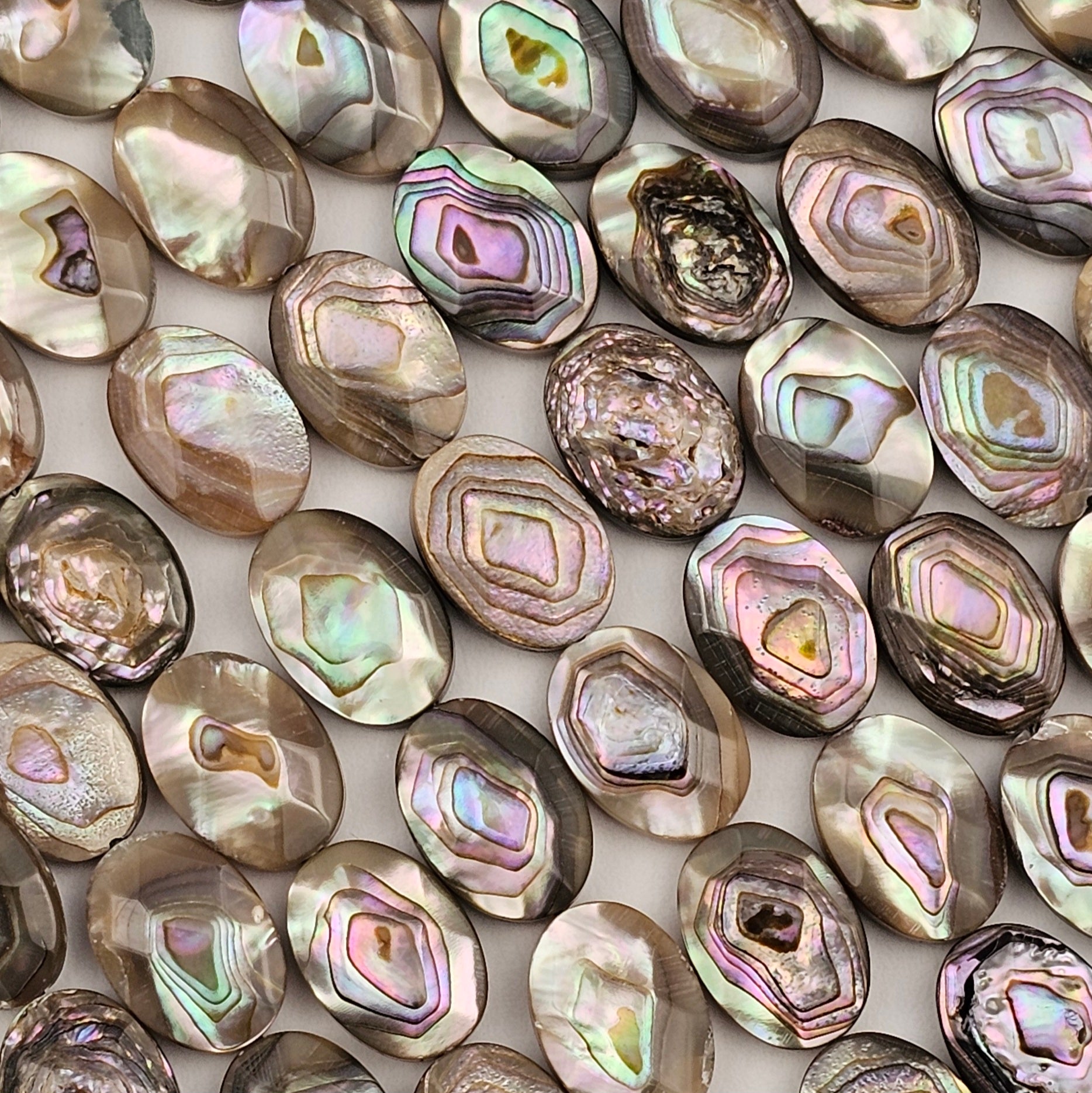 10x14mm Faceted Abalone Oval - North American