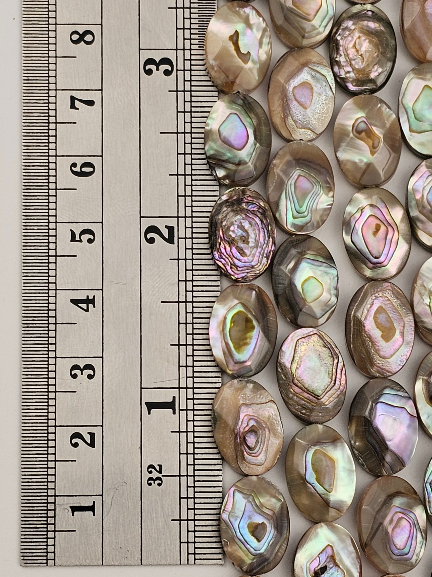 10x14mm Faceted Abalone Oval - North American