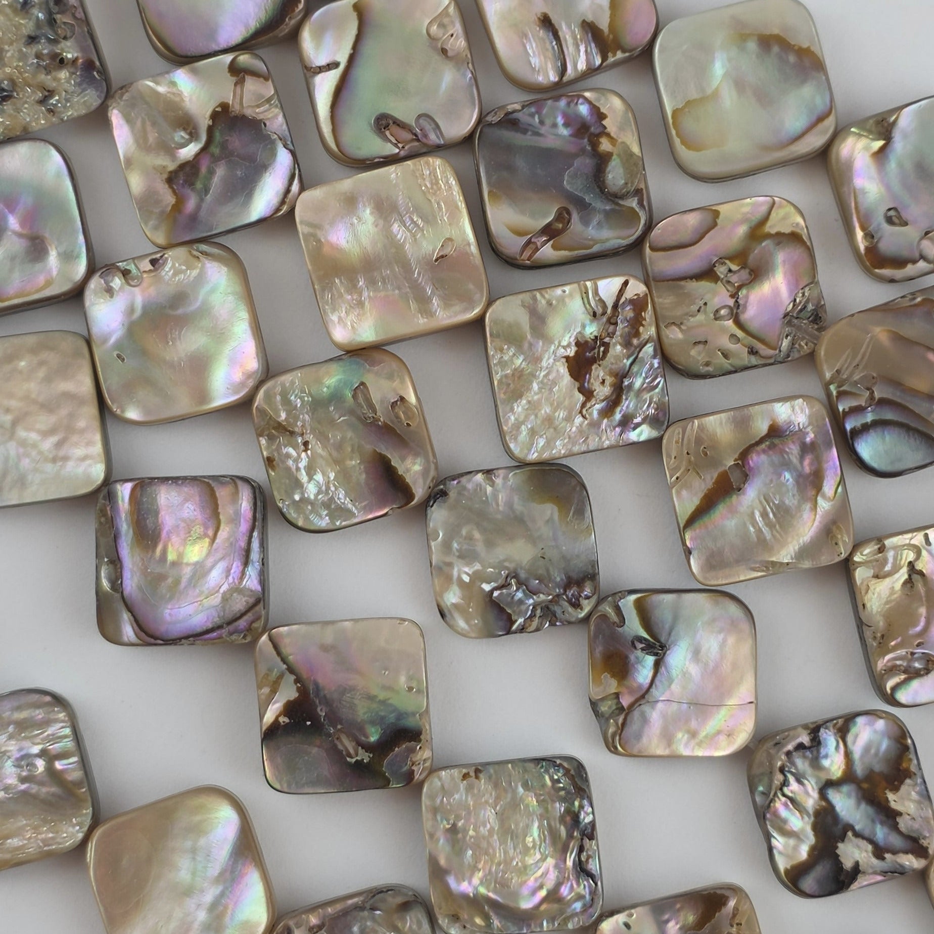 14mm Abalone Diamond - North American