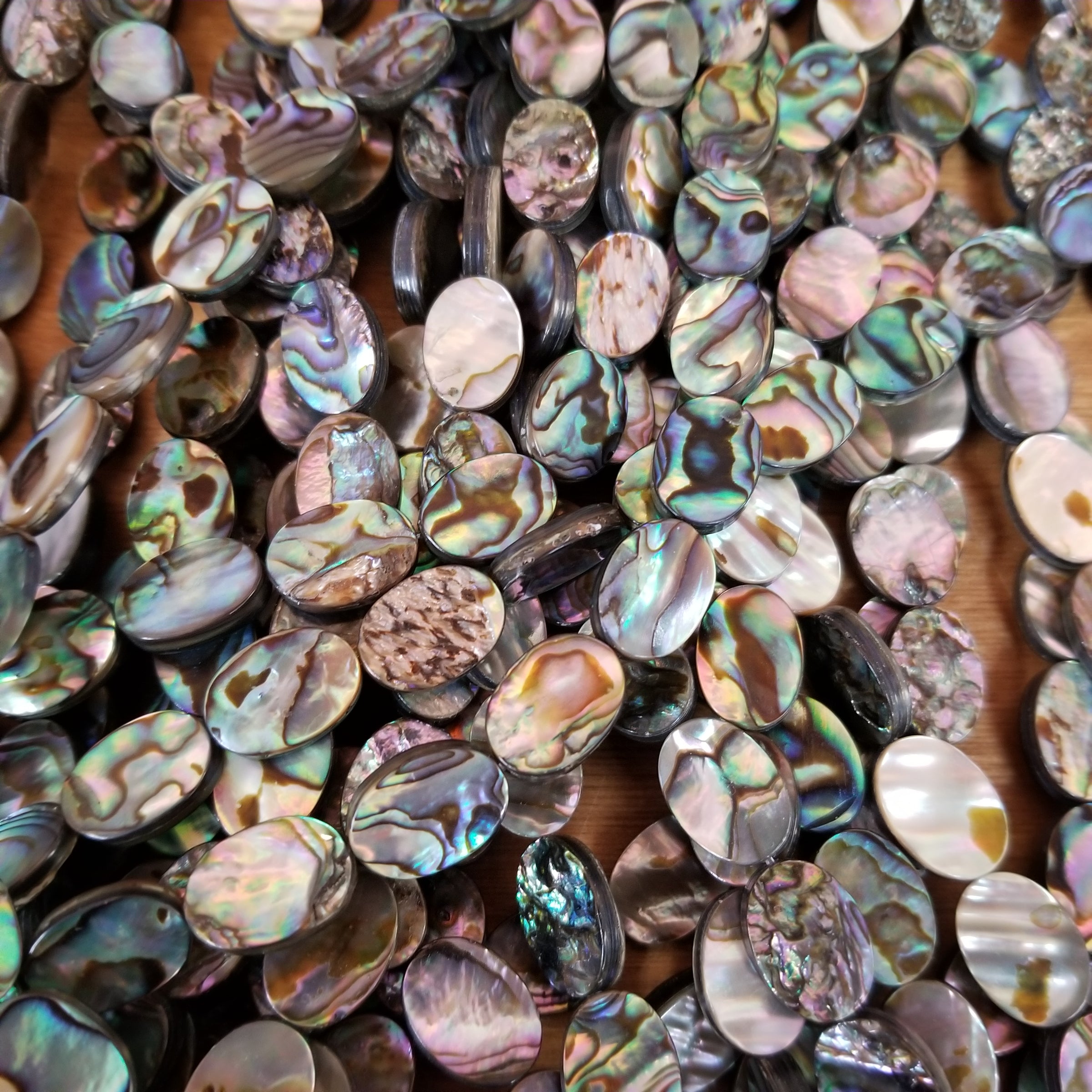 Abalone and Shell Ovals and Coins!