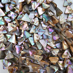 14mm Abalone Triangles - North American