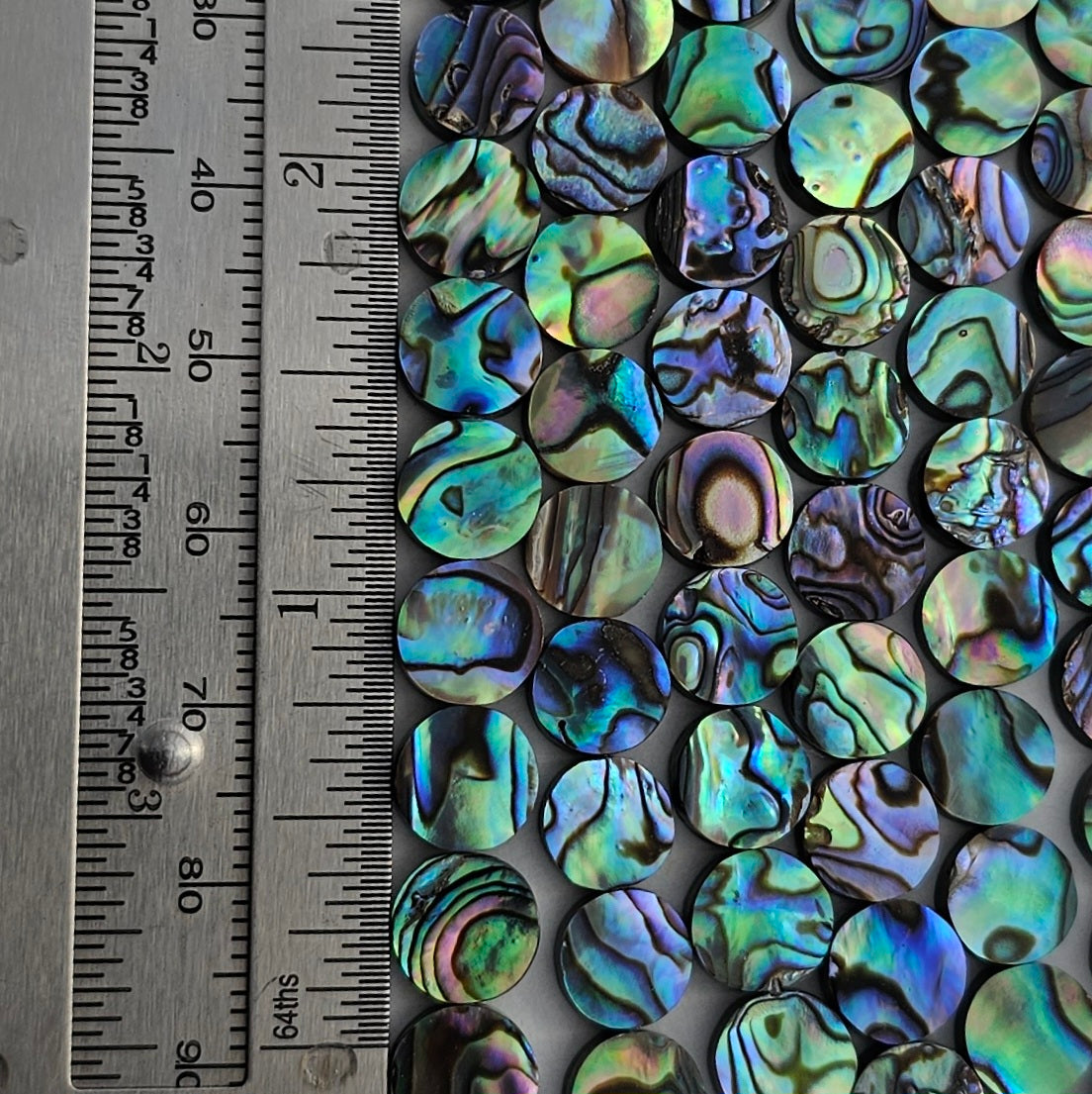 LIMITED EDITION 8mm Abalone Coin - Paua