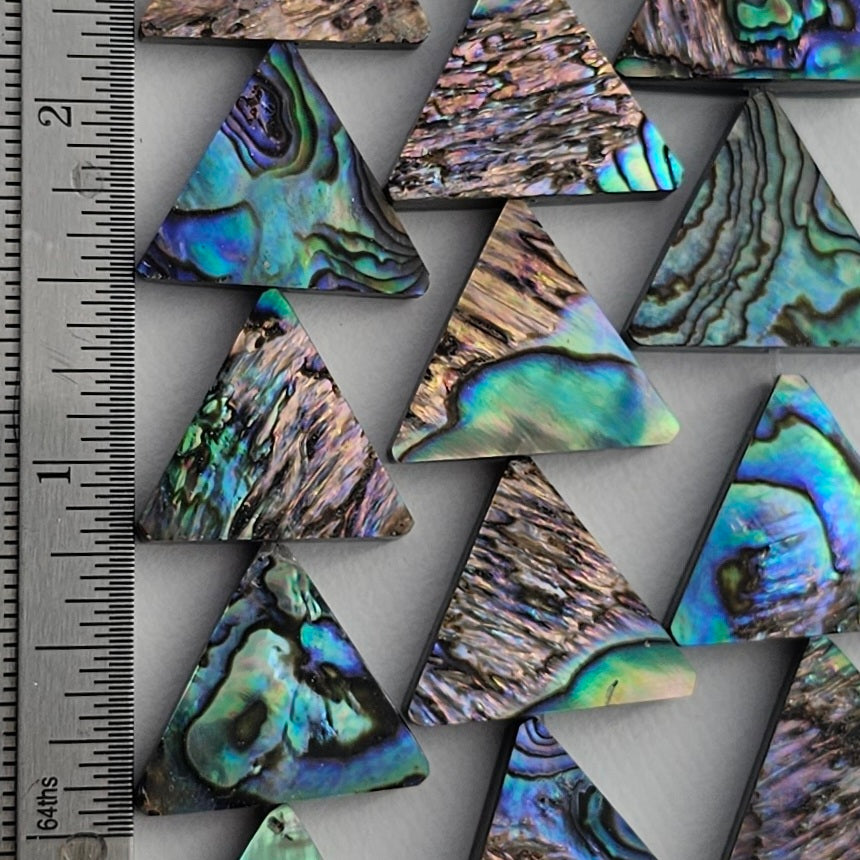 LIMITED EDITION 14mm Abalone Triangle - Paua