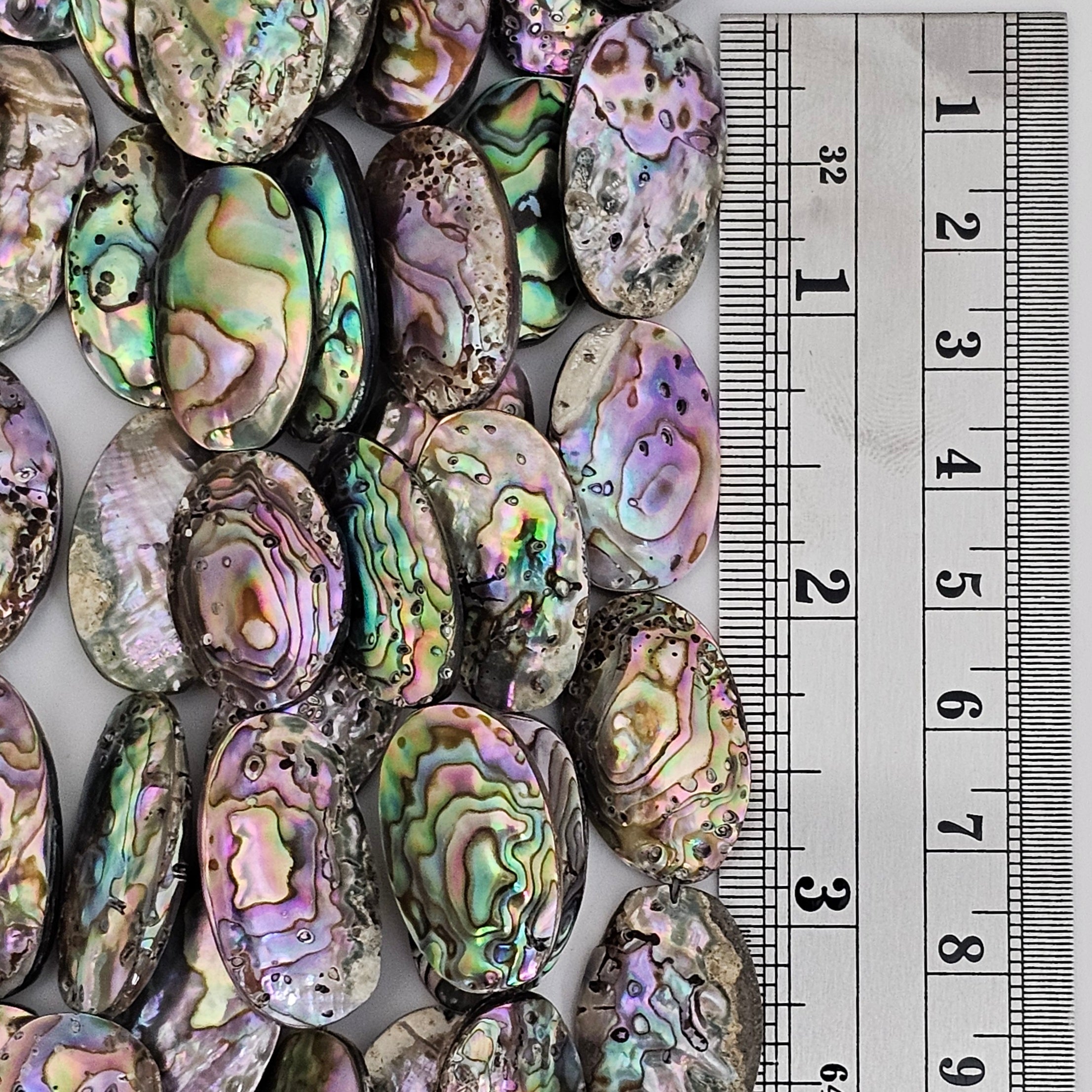 20x15mm Abalone Puffy Ovals