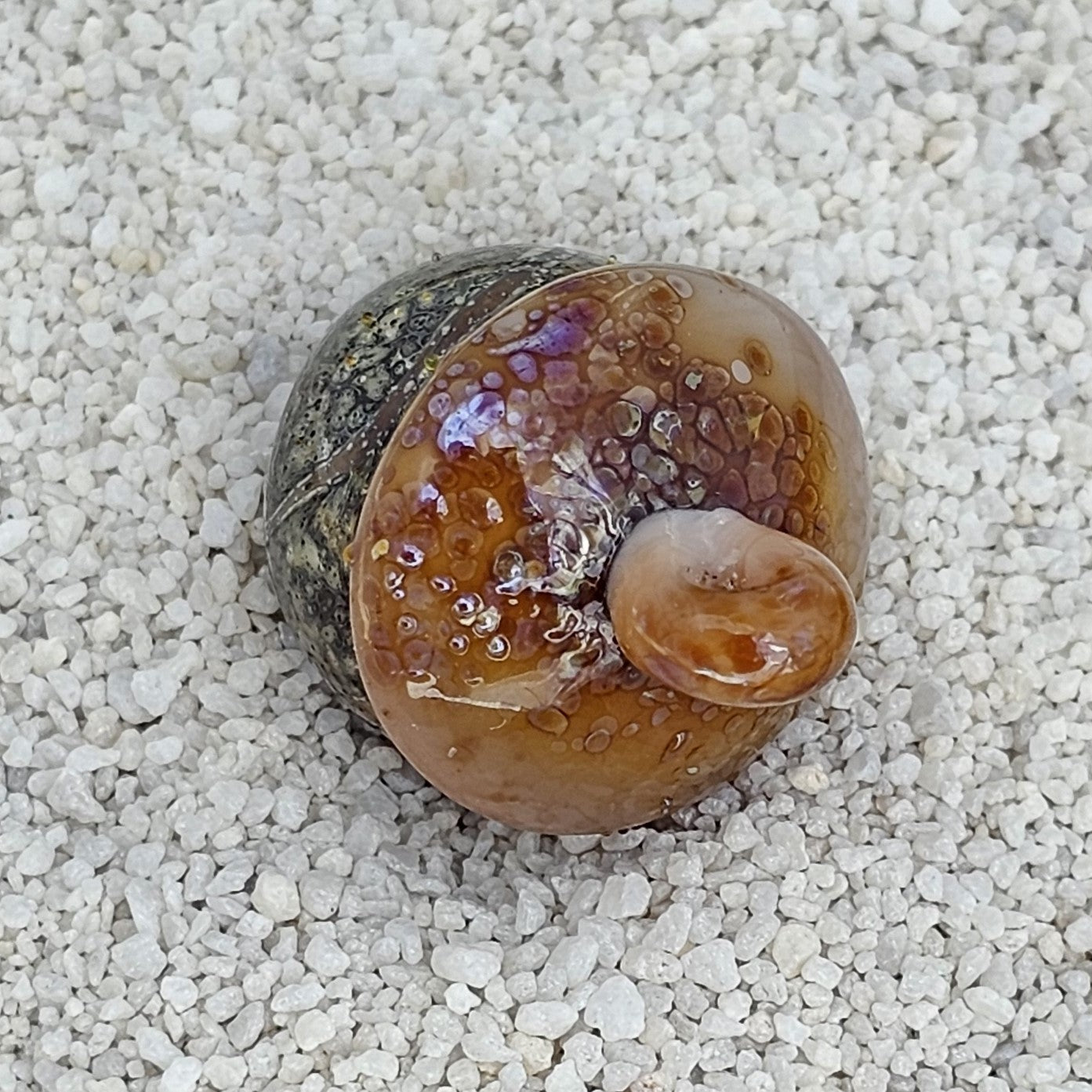 Handmade Lampwork Acorn #68