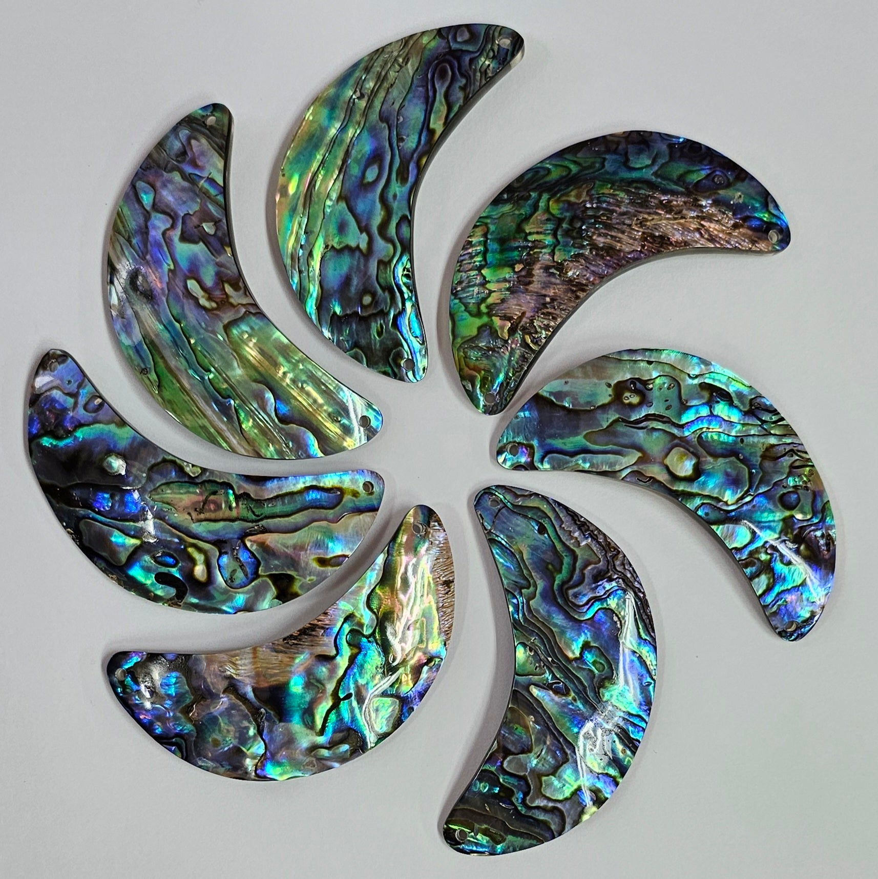 Paua Chevron 2.5"