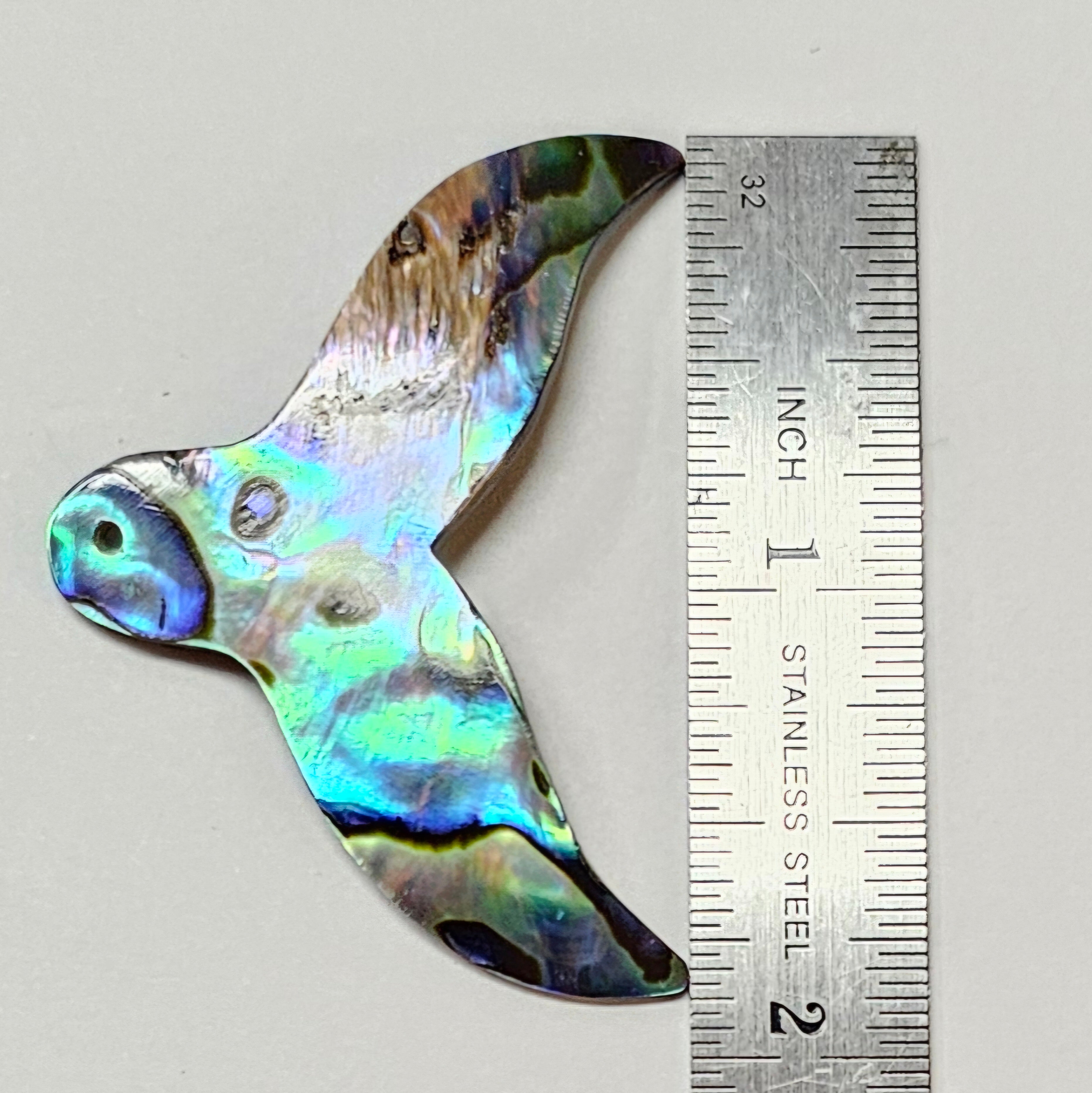 Paua Whale Fluke 1.75-2"