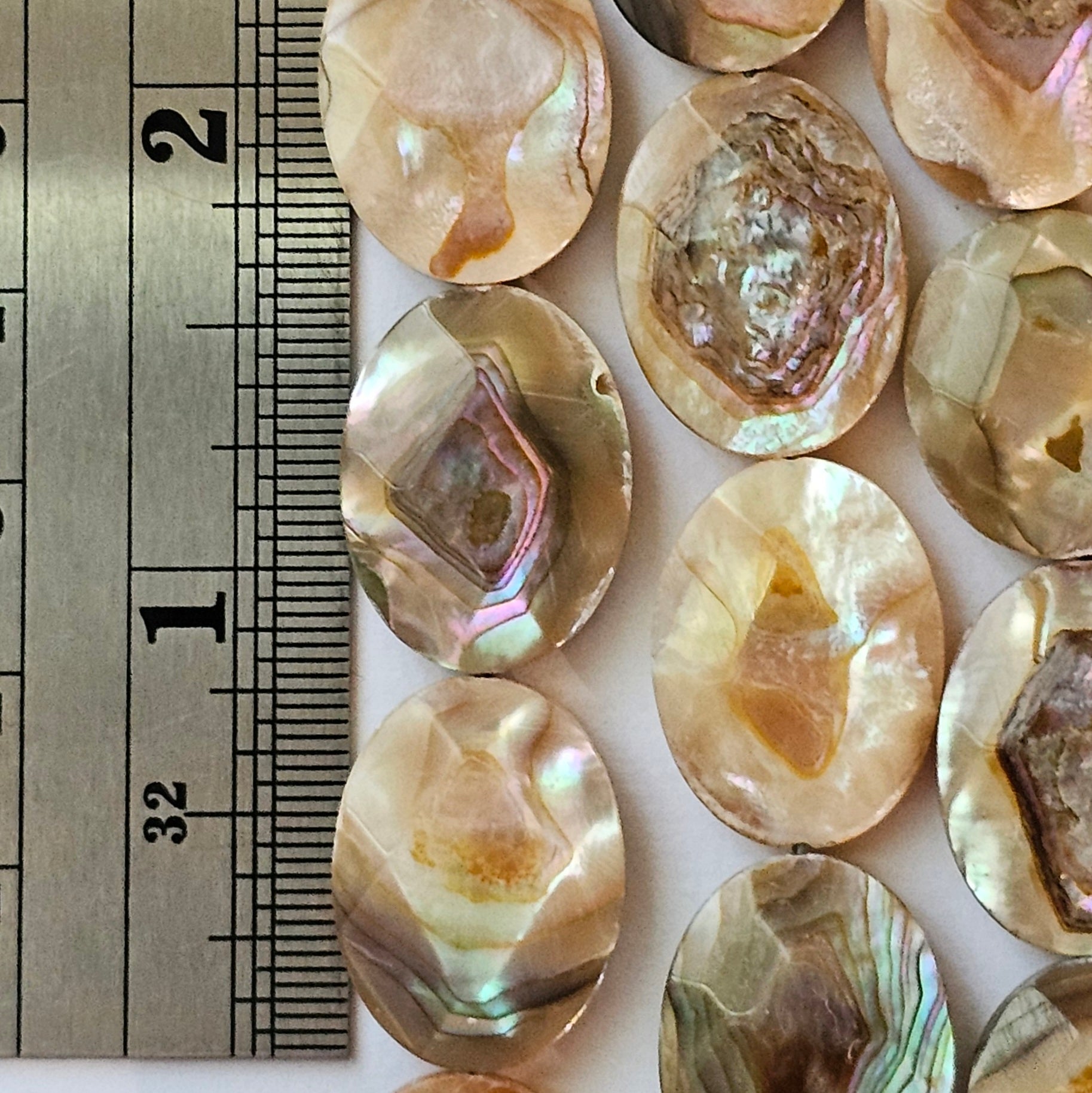 20x15mm Faceted Abalone Oval - North American