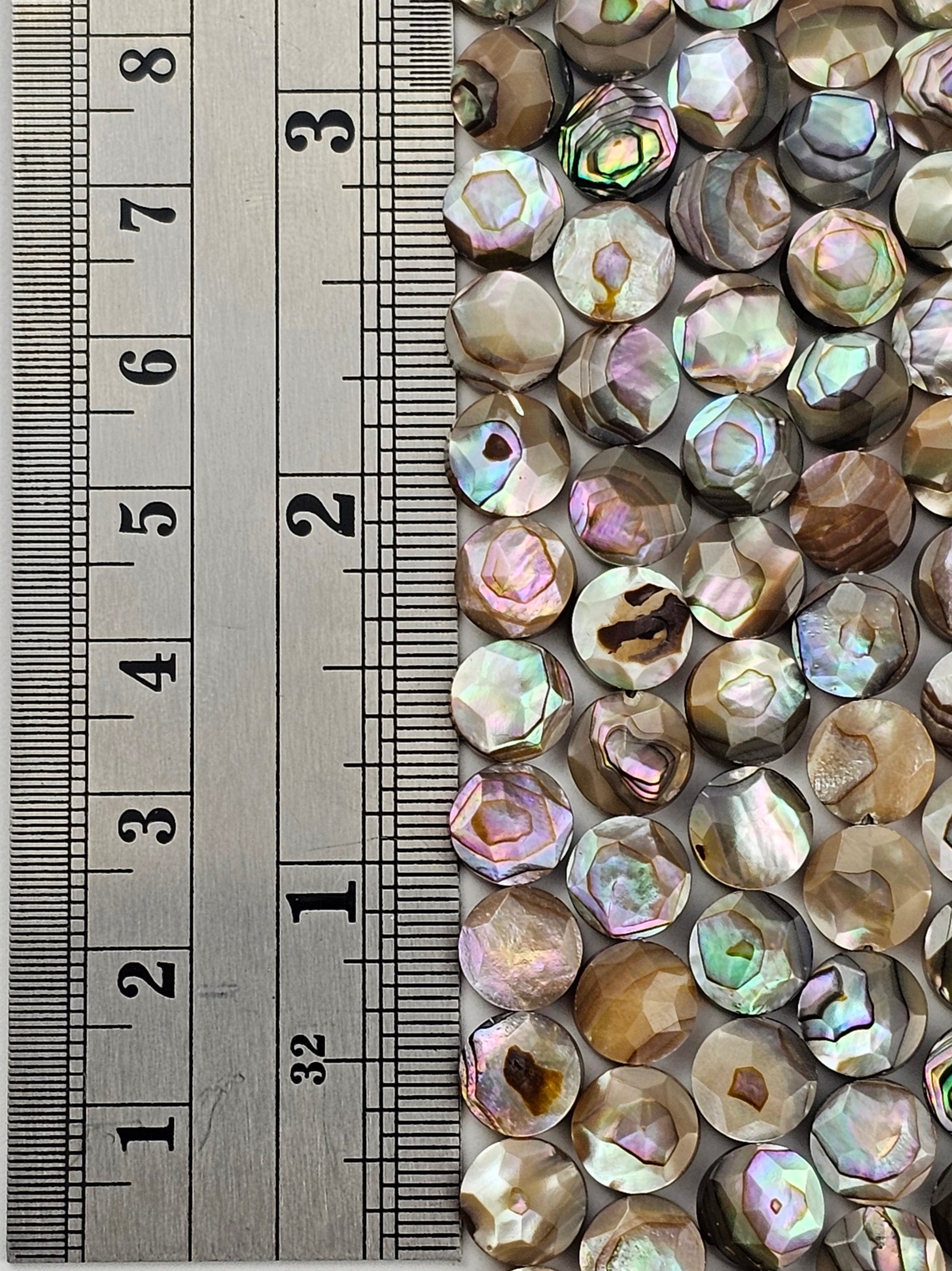 8mm Faceted Abalone Coins - North American