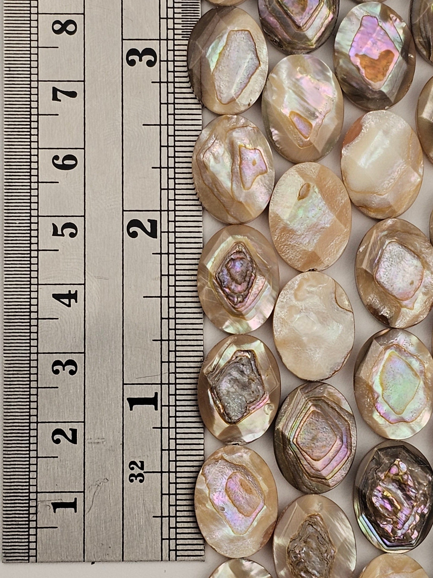 16x12mm Faceted Abalone Oval - North American