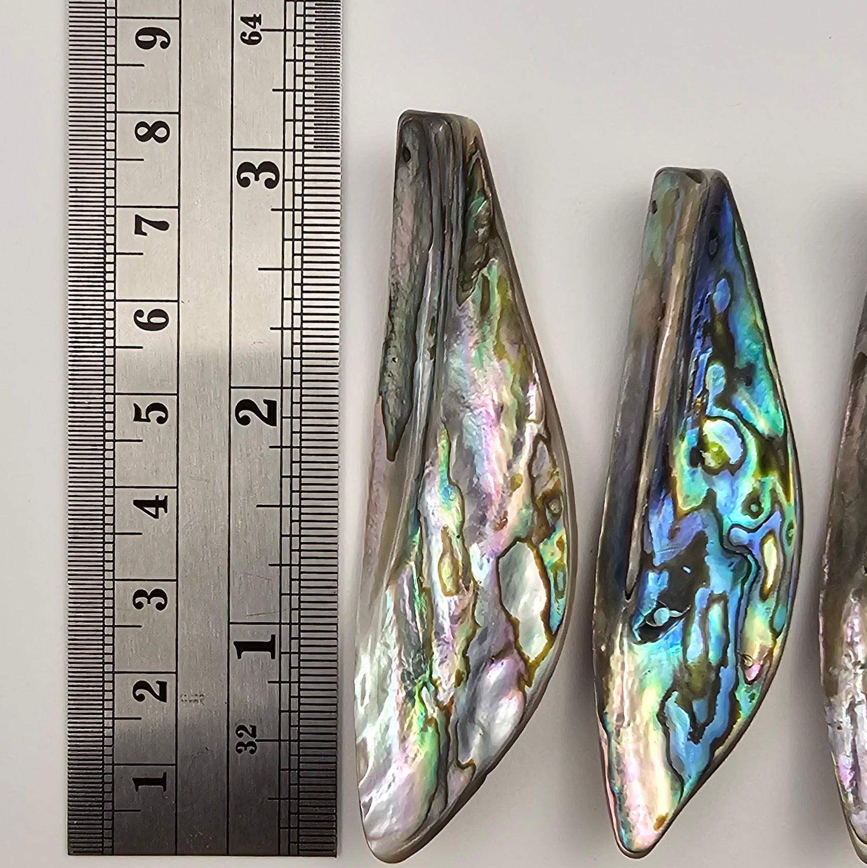 Large Abalone Drop Focal - North American