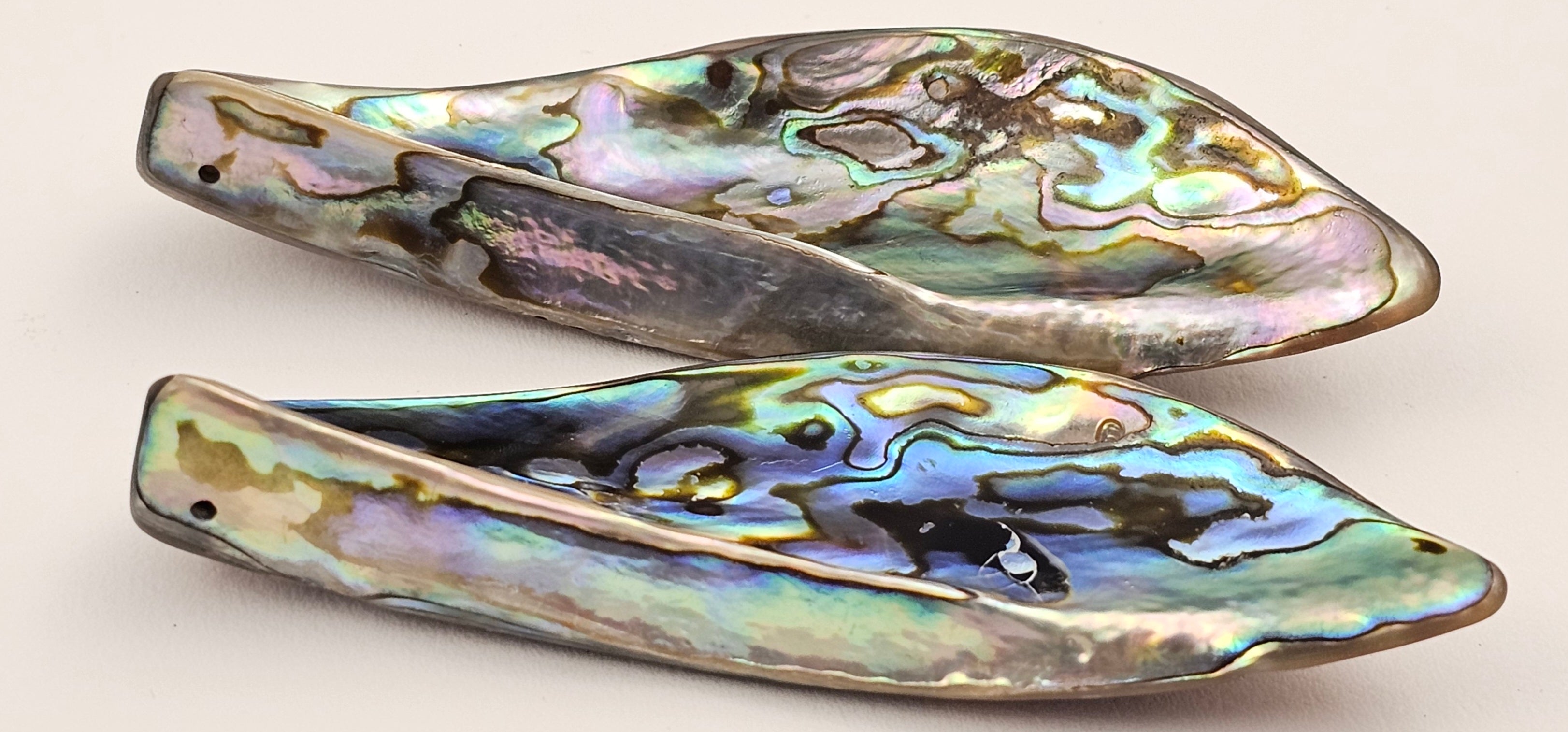 Large Abalone Drop Focal - North American