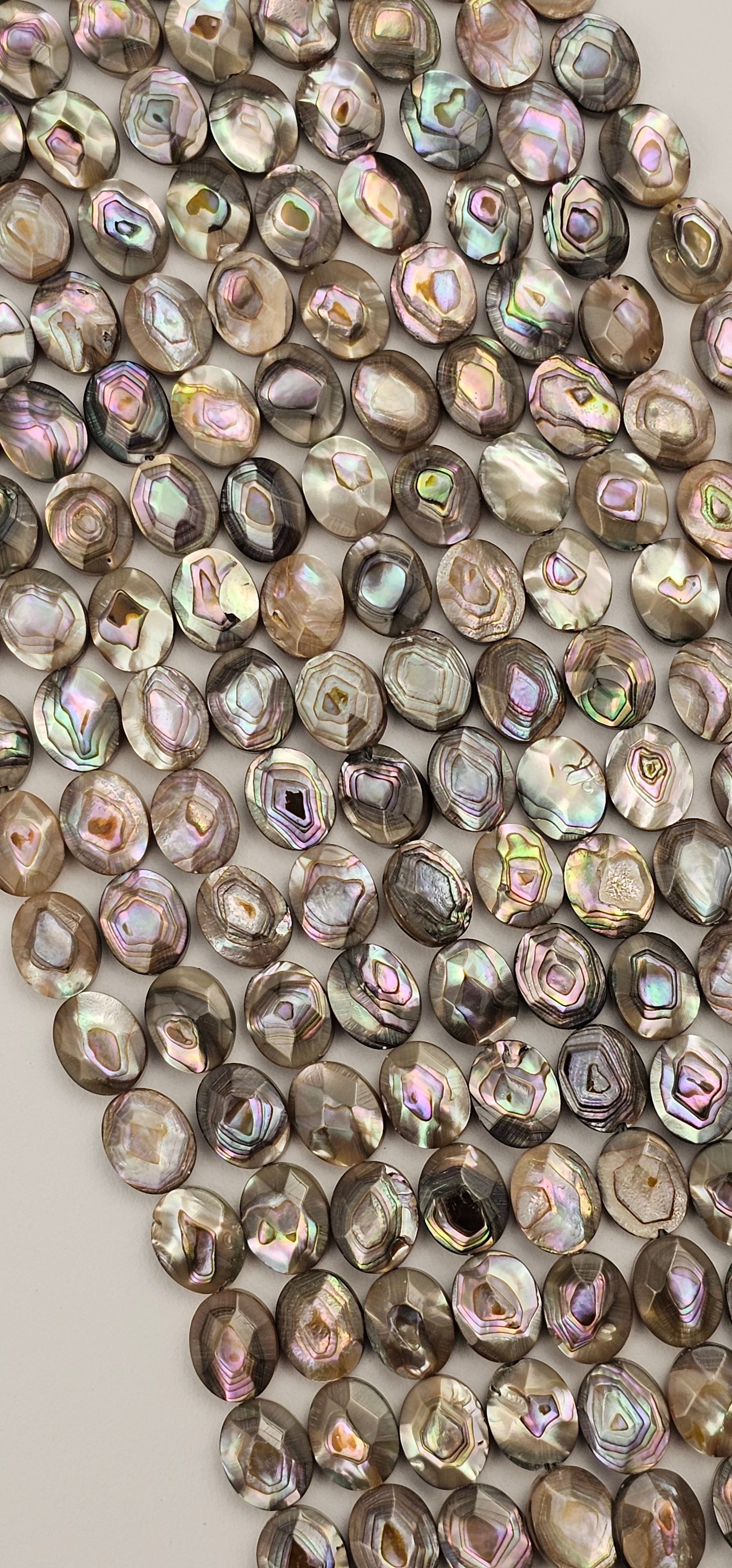 10x8mm Faceted Abalone Coins - North American