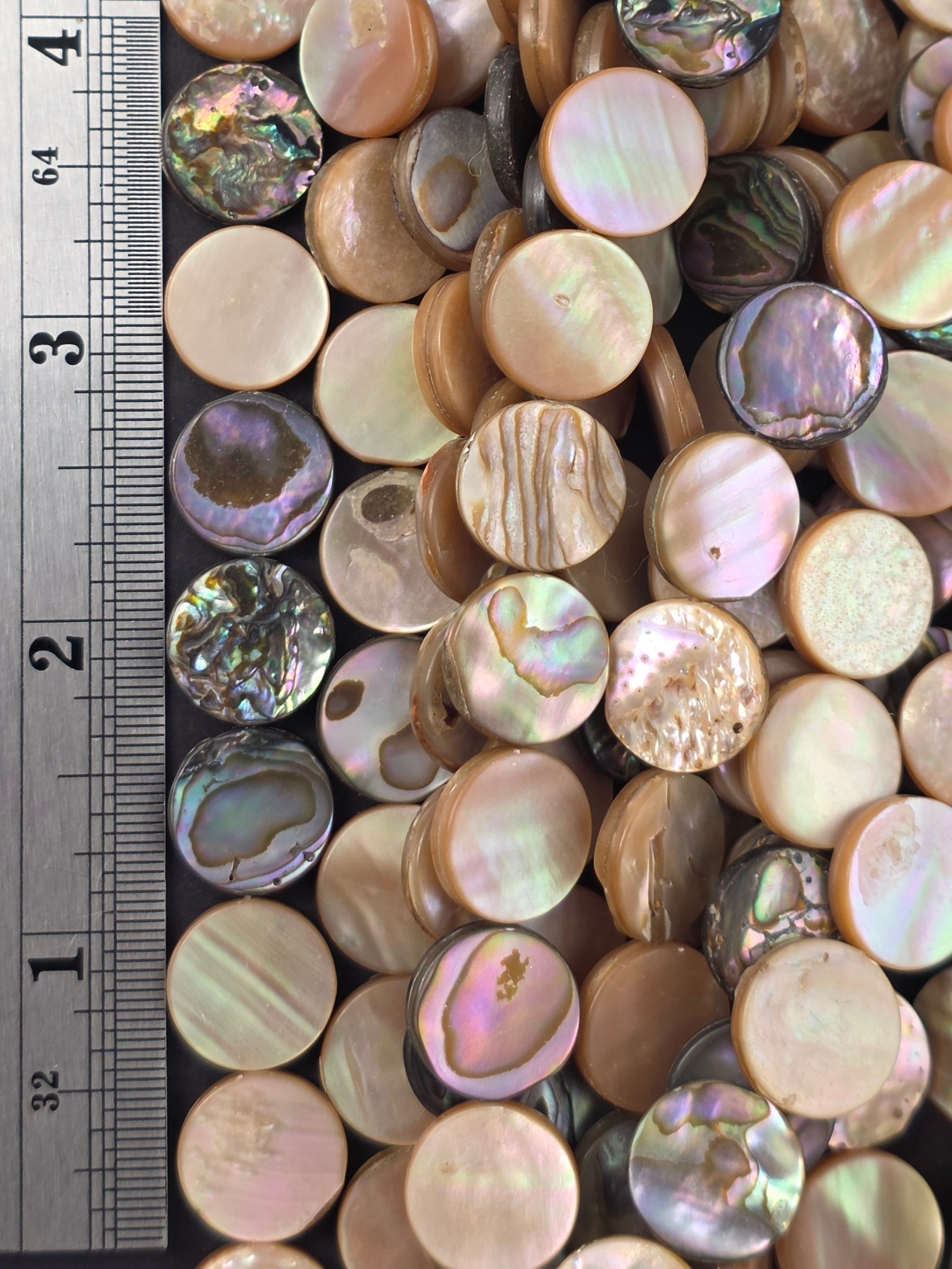 14mm - Abalone - Coin - North American