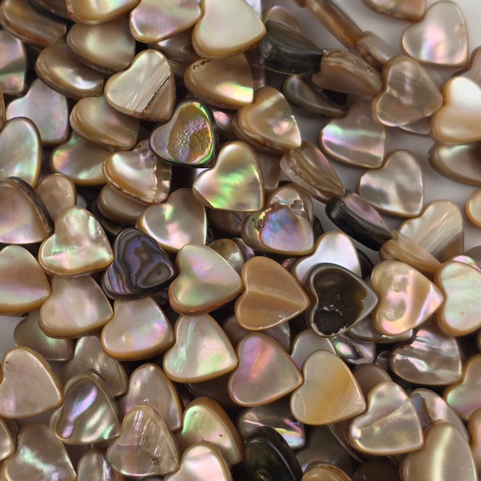 8mm - Abalone - Hearts - North American