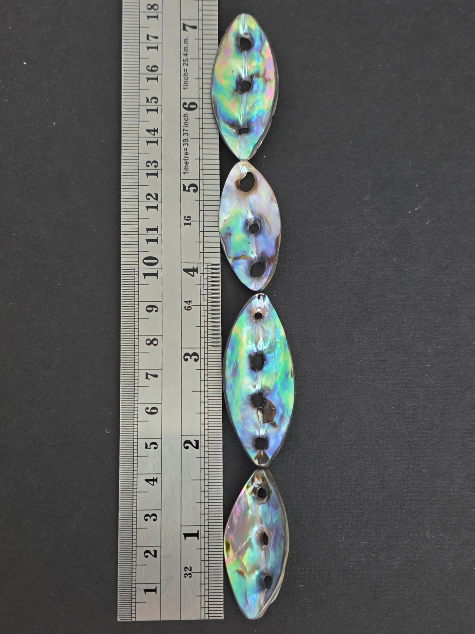 1 Piece - Abalone with Natural Holes - Medium