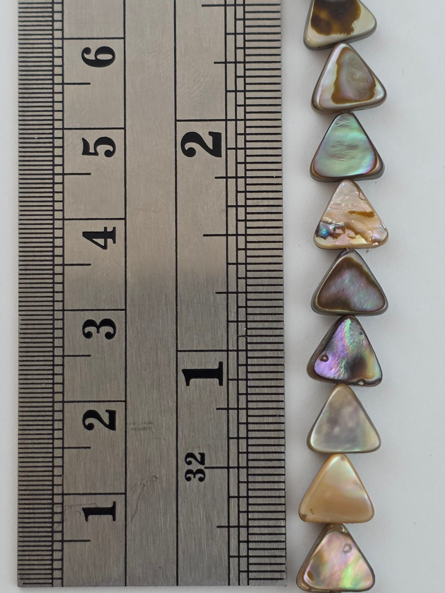 8mm Triangles Abalone - North American