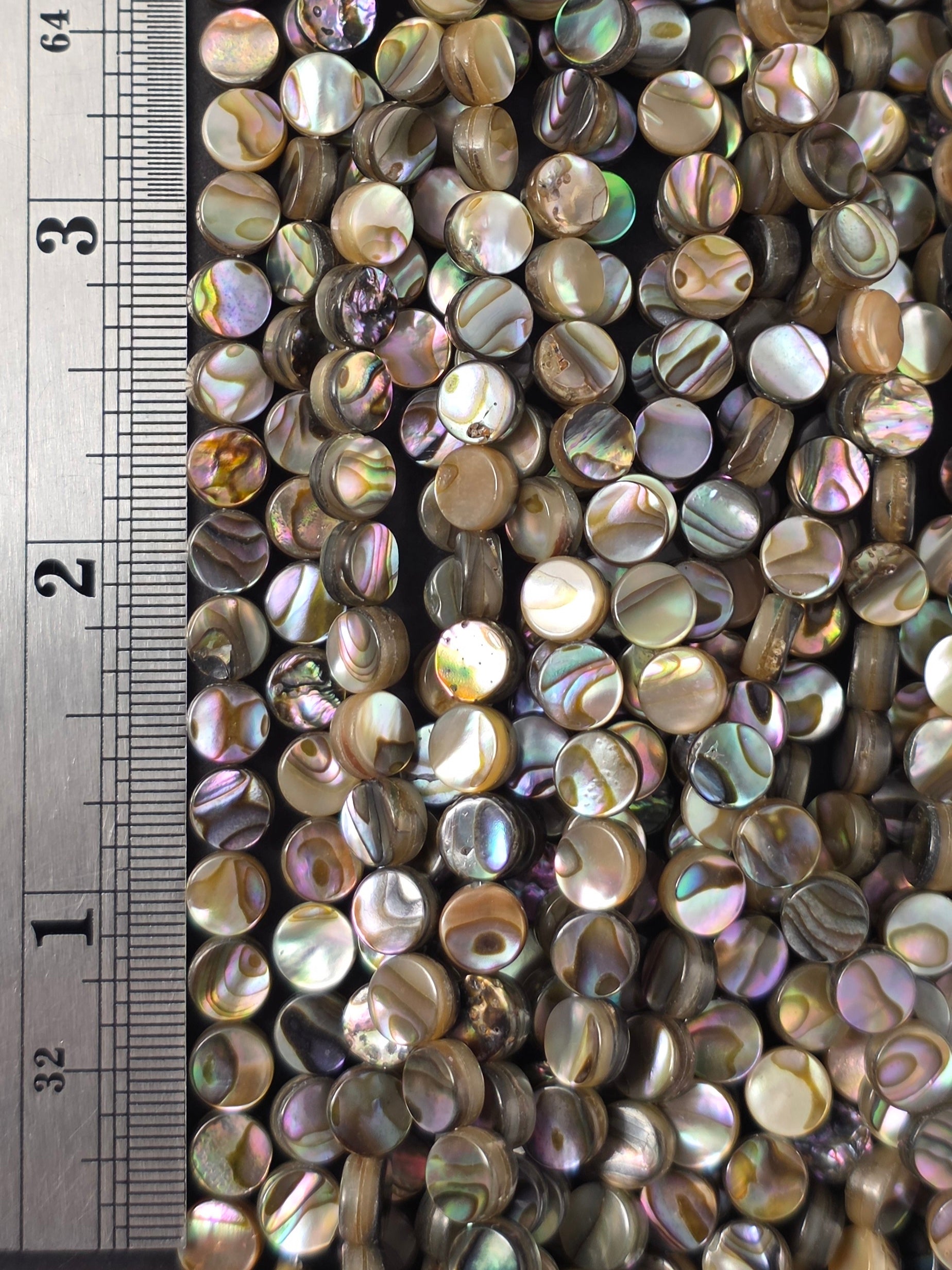 6mm - Abalone - Coin - North American