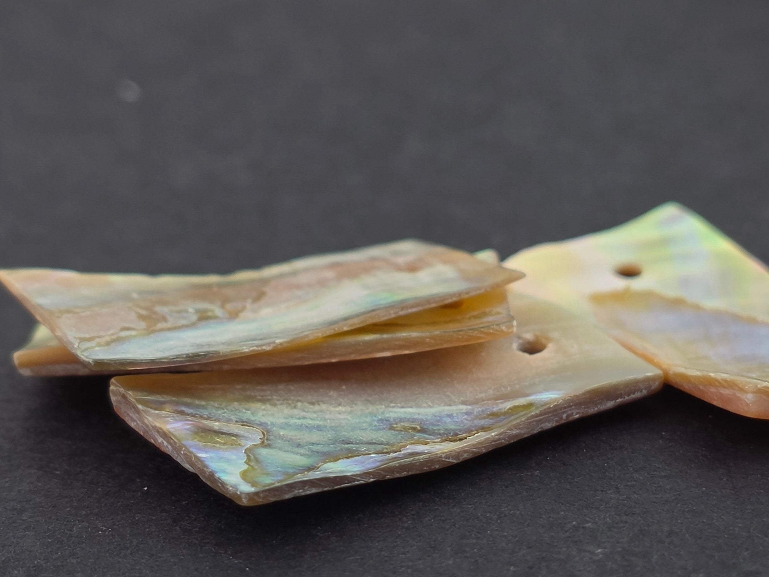 1x0.5 inch Abalone Rectangle - 1 piece