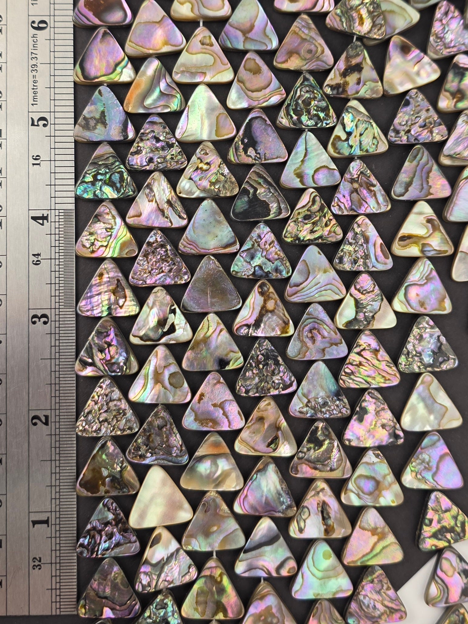 16mm - Abalone - Triangles - North American