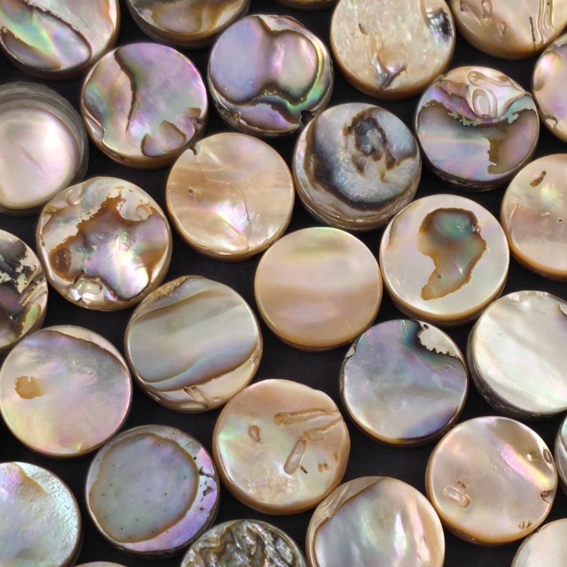 12mm - Abalone - Coins - North American