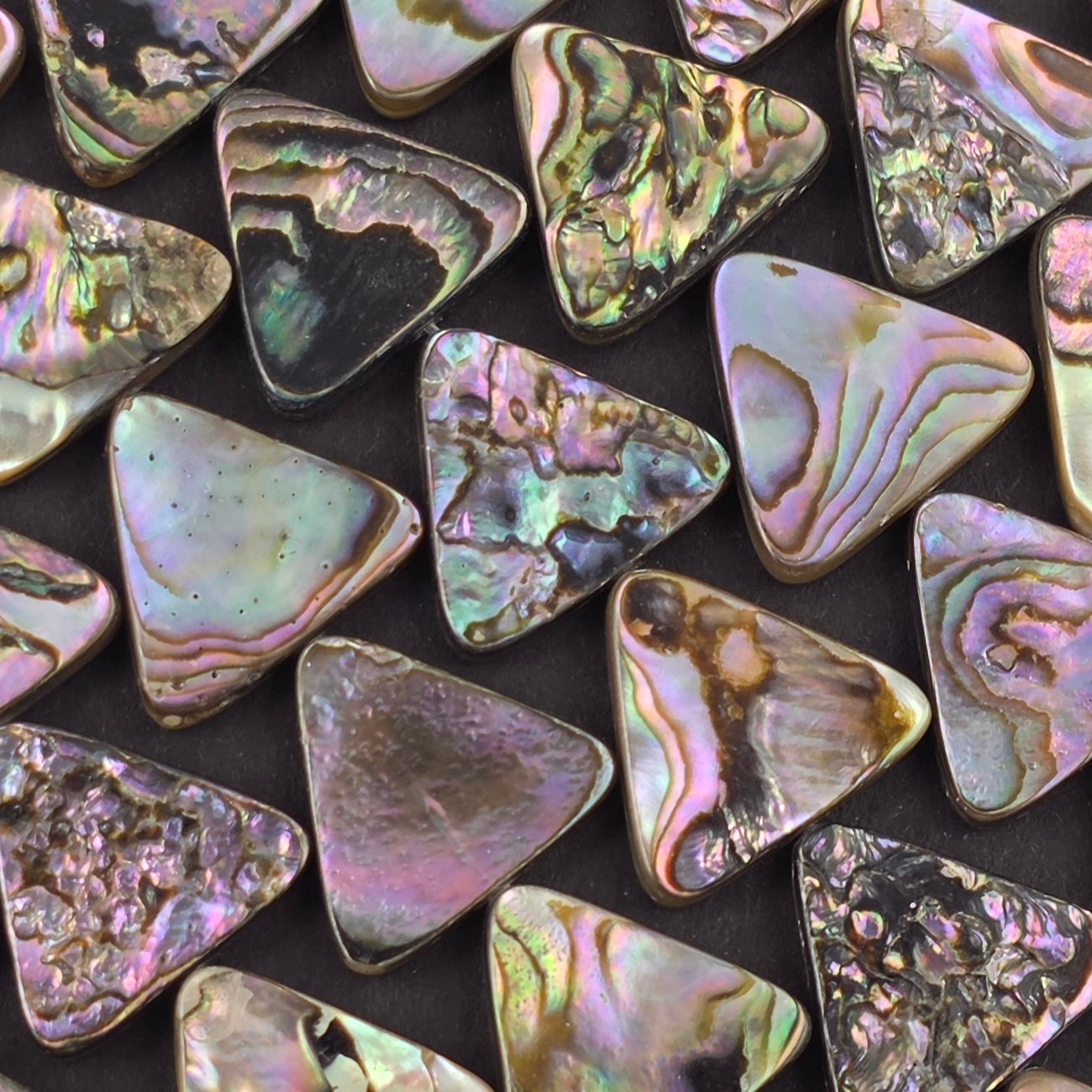 16mm - Abalone - Triangles - North American