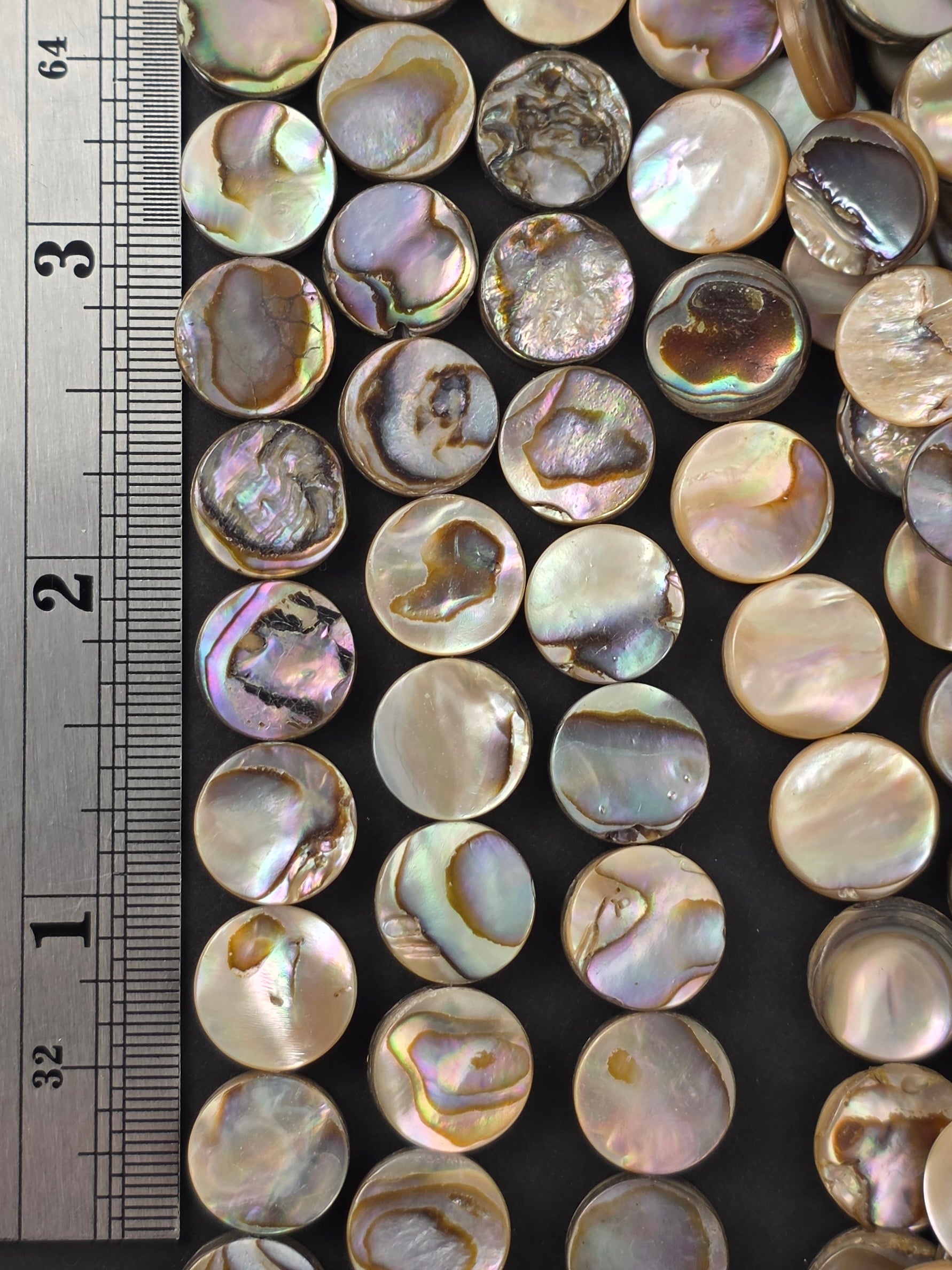 12mm - Abalone - Coins - North American
