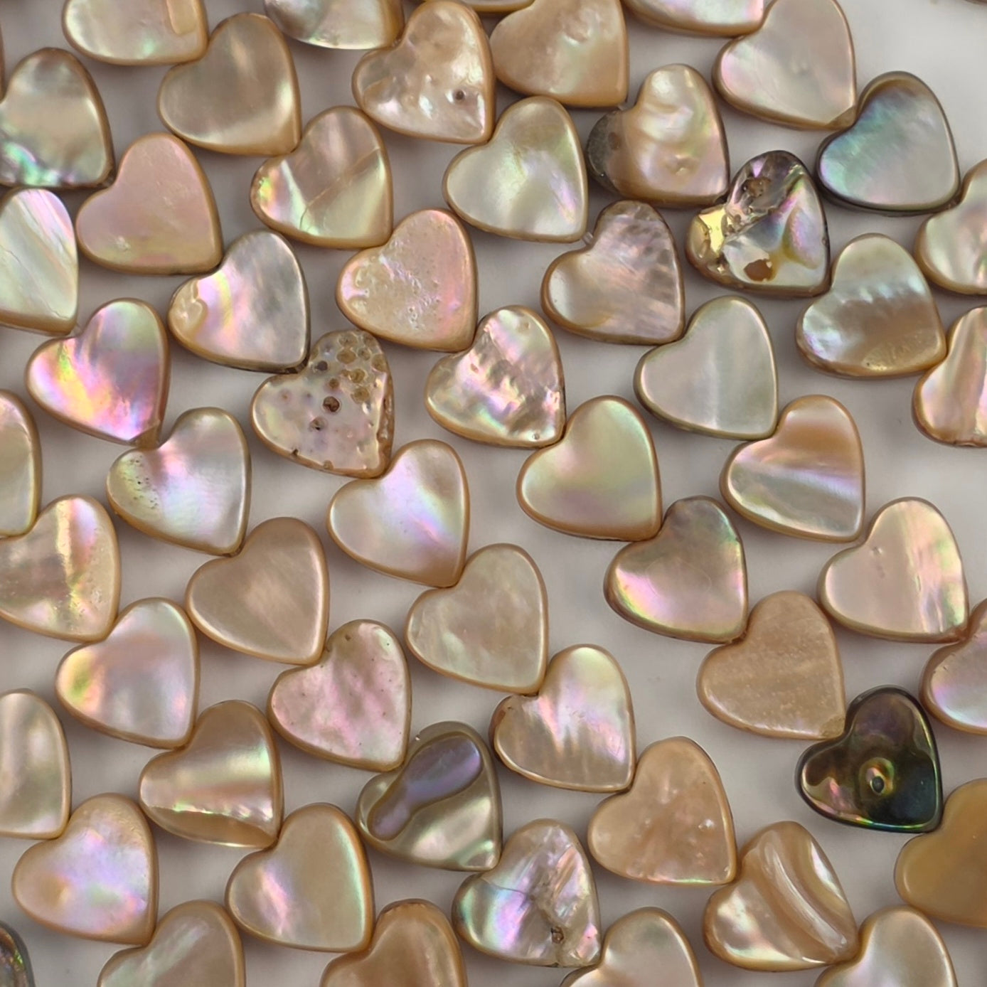 8mm - Abalone - Hearts - North American