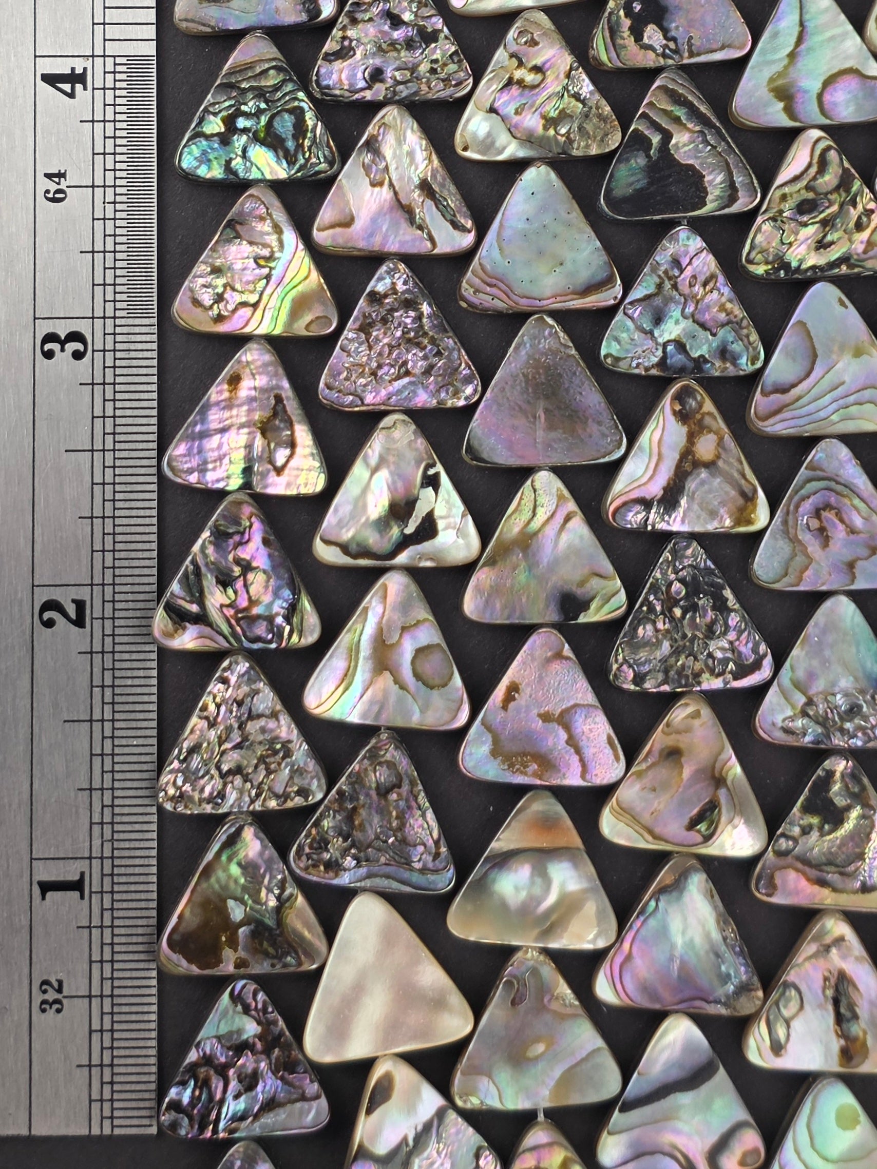 16mm - Abalone - Triangles - North American