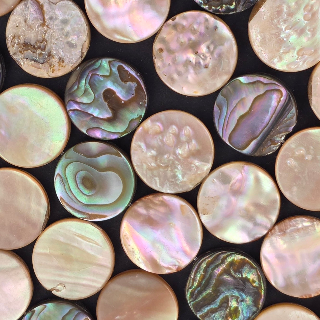 14mm - Abalone - Coin - North American