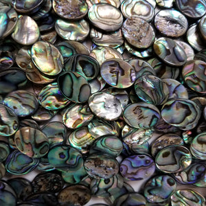 15x20mm Abalone Ovals - Paua
